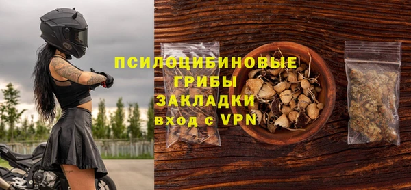гидропоника Елабуга