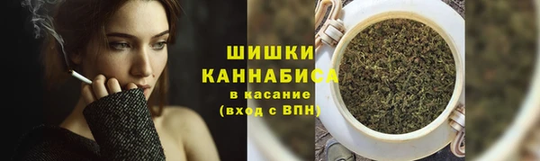 гидропоника Ельня