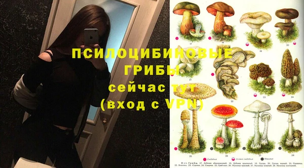 гидропоника Ельня