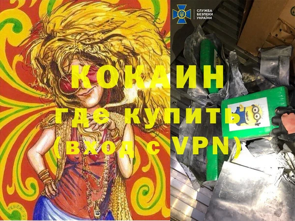 твердый Дмитровск