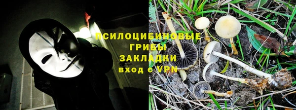 гидропоника Ельня