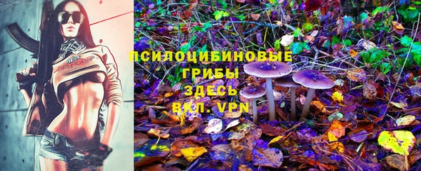 гидропоника Ельня