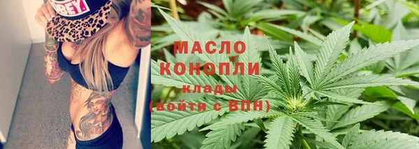 прущий лед Дмитриев